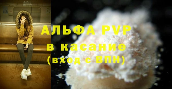 ешки Алексин