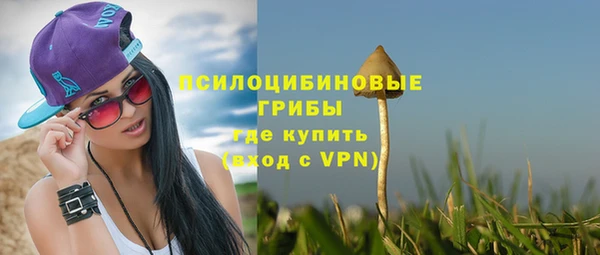стафф Алзамай