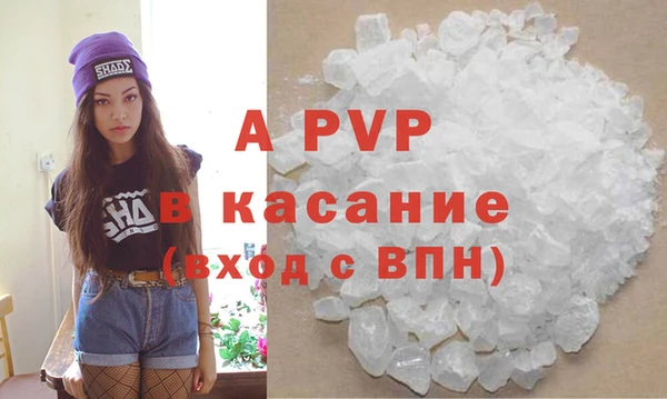 стафф Алзамай