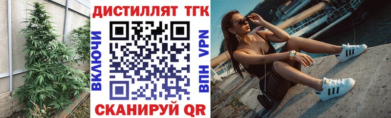 купить закладку  omg ONION  Дистиллят ТГК гашишное масло  Порхов 
