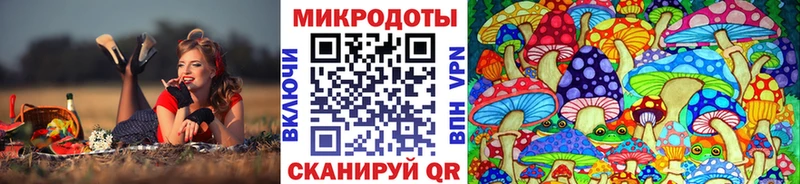 Псилоцибиновые грибы мухоморы ссылка на мегу зеркало Порхов